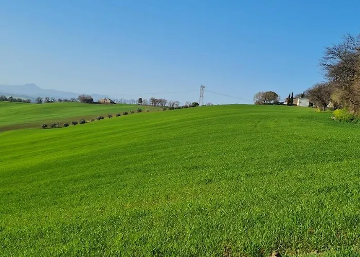 Relax Da Sabry 펜션 세니갈리아